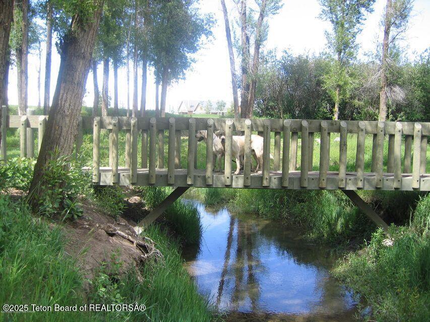 424 Clubmoss Lane Driggs, ID 83422 - Photo 4 of 7 s