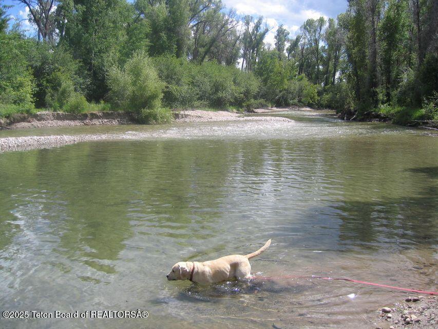 424 Clubmoss Lane Driggs, ID 83422 - Photo 6 of 7 Teton Creek Access