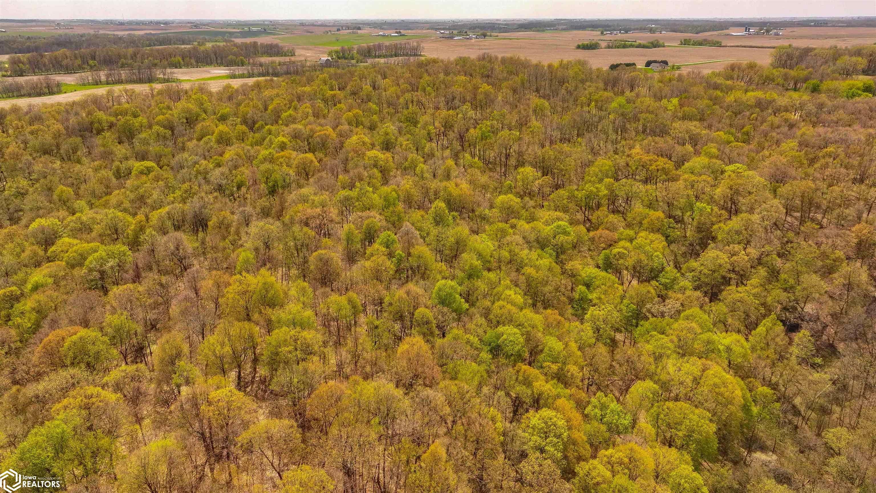 38346 Cherry Valley Road Guttenberg, IA 52052 - Photo 9 of 75 Gallery Image 9