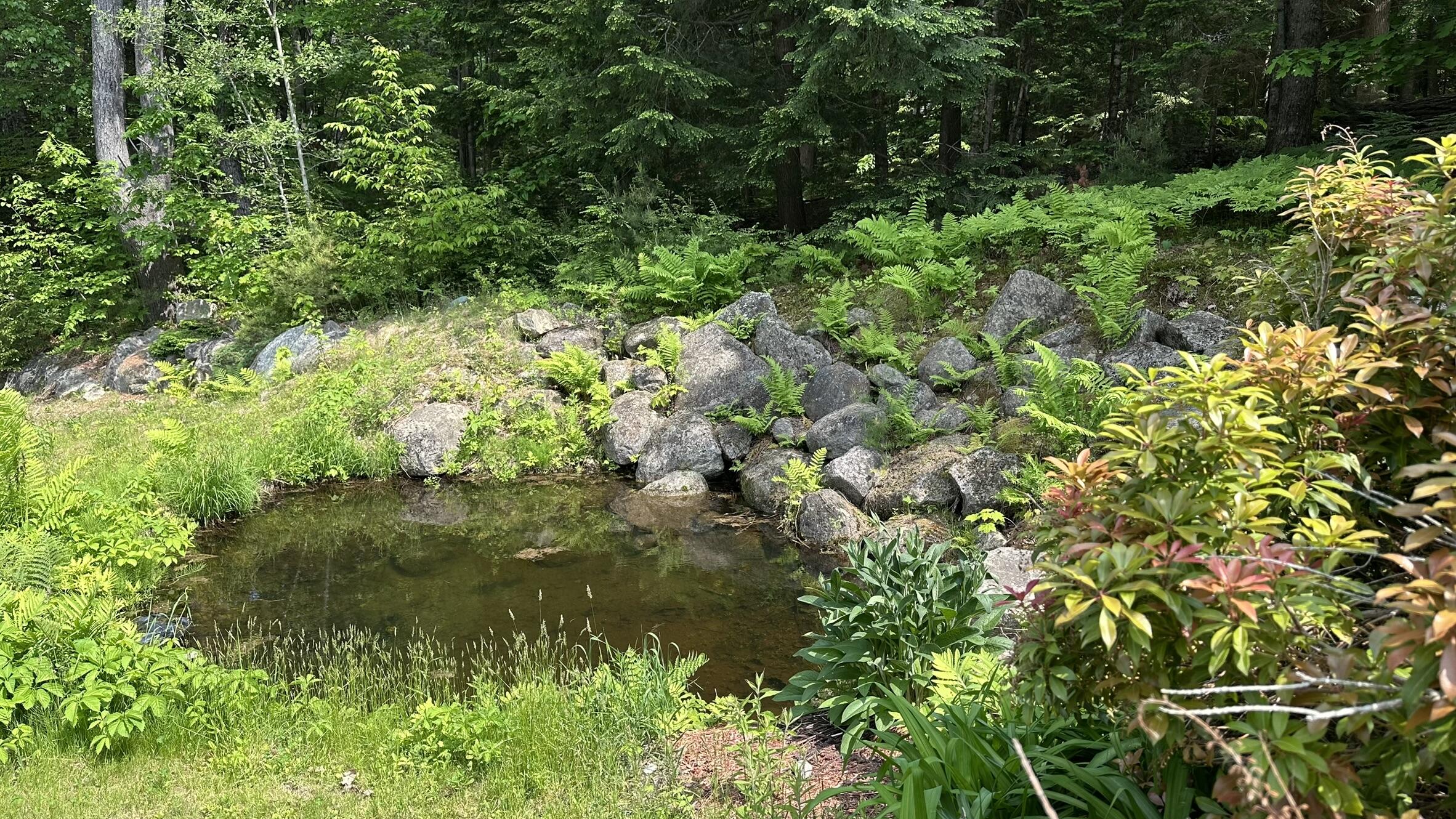 81 Maple Ridge Road Harrison, ME 04040 - Photo 32 of 32 Pond