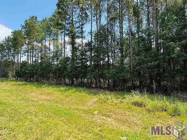 $74,500 | Lot 4 La Highway, Pine Grove, LA 70453
