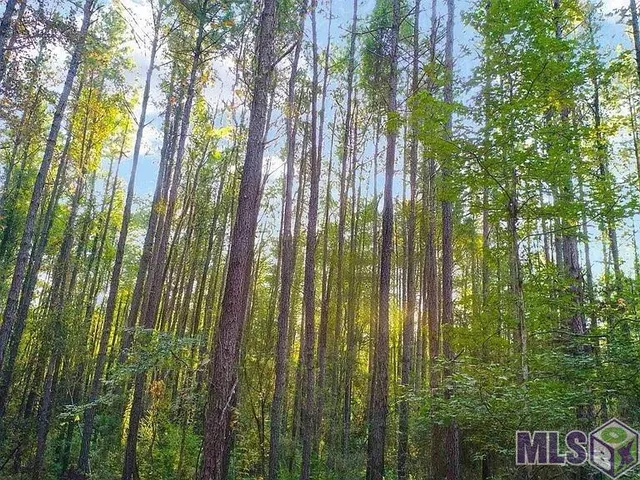 $74,500 | Lot 4 La Highway, Pine Grove, LA 70453