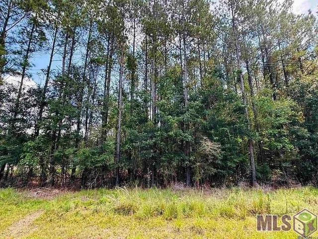 $74,500 | Lot 4 La Highway, Pine Grove, LA 70453