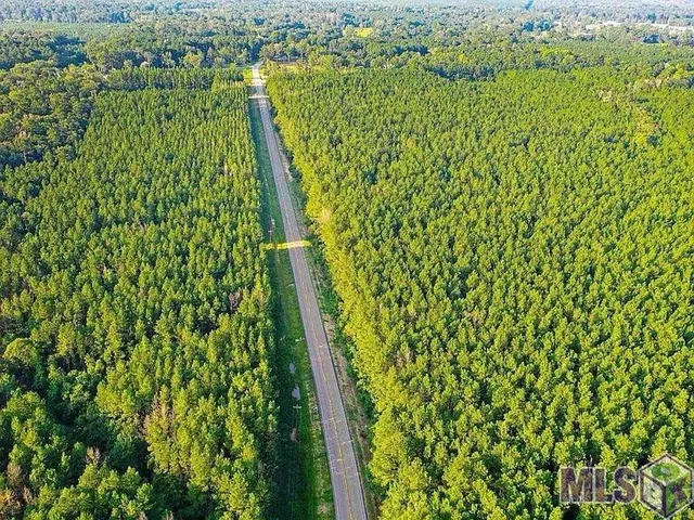 $74,500 | Lot 4 La Highway, Pine Grove, LA 70453