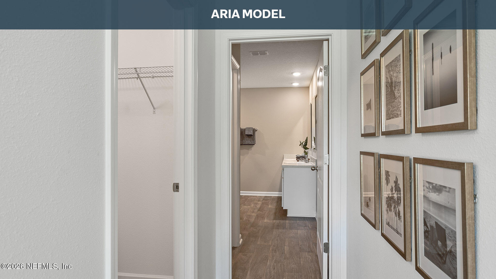 12456 Russian Olive Road Jacksonville, FL 32218 - Photo 16 of 50 Aria Model (13)