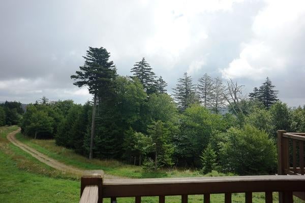 7 Powderidge Road Snowshoe, WV 26209 - Photo 15 of 17 Gallery Image 15