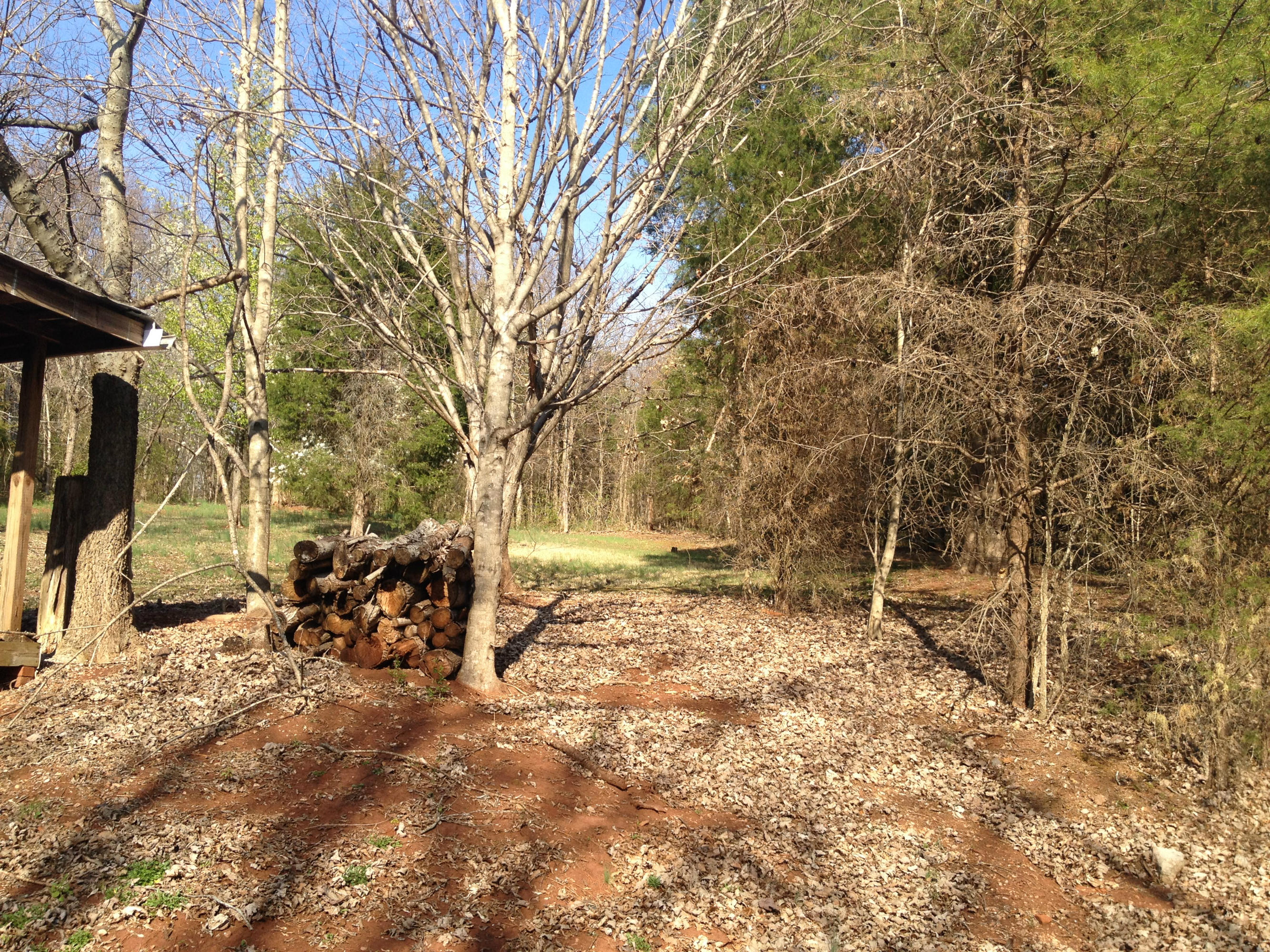 158 Watt Road Sweetwater, TN 37874 - Photo 6 of 7 Some Woods