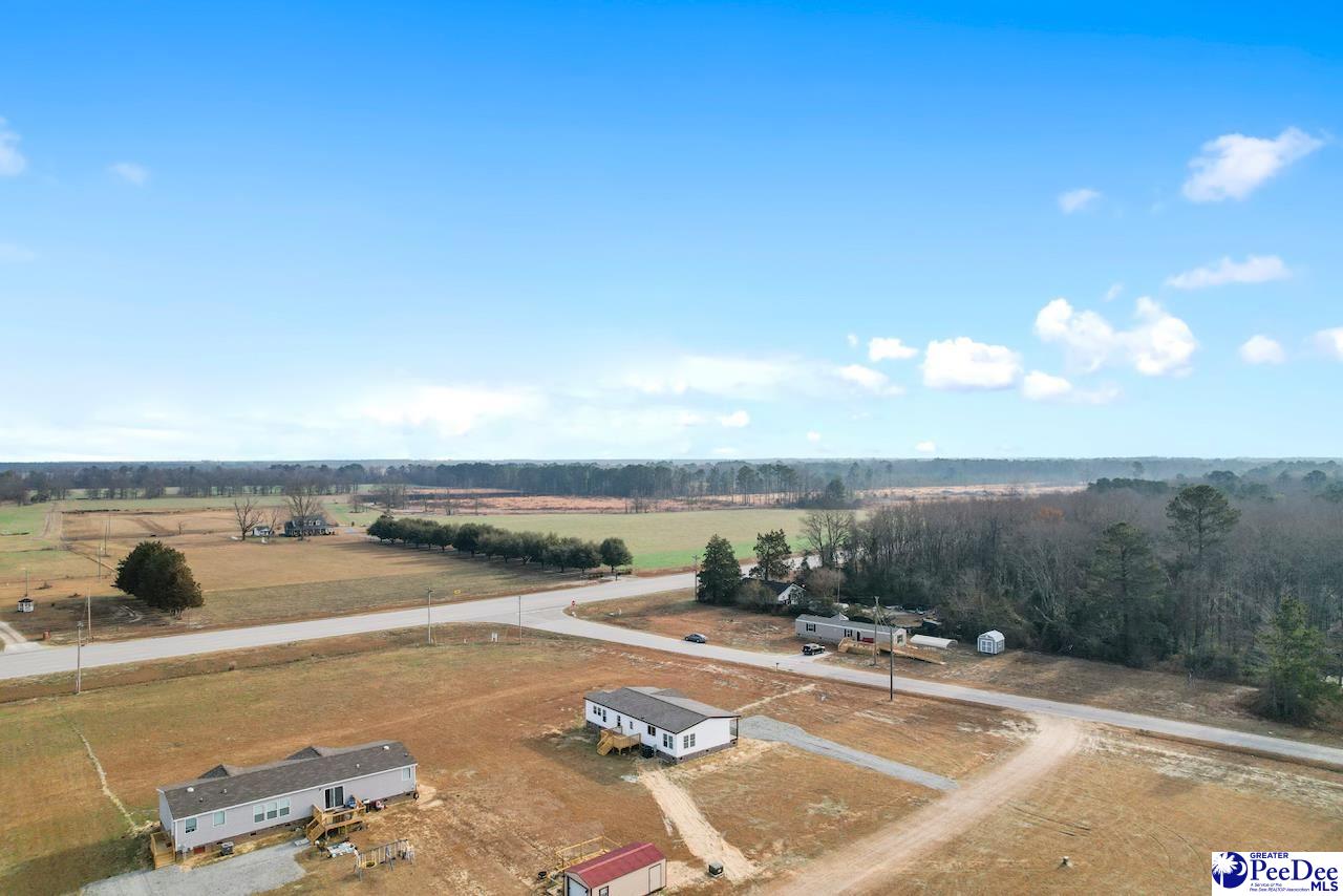 111 Meggs Island Road Latta, SC 29565 - Photo 39 of 41 Gallery Image 39