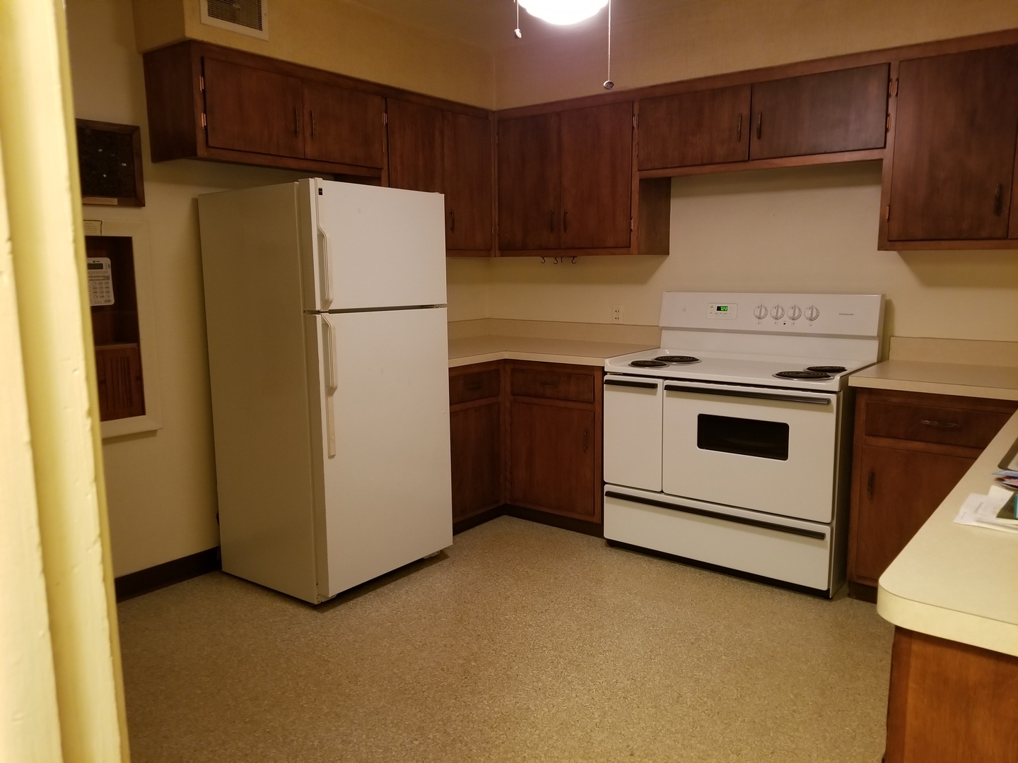 40W519 Bowes Road Elgin, IL 60124 - Photo 11 of 20