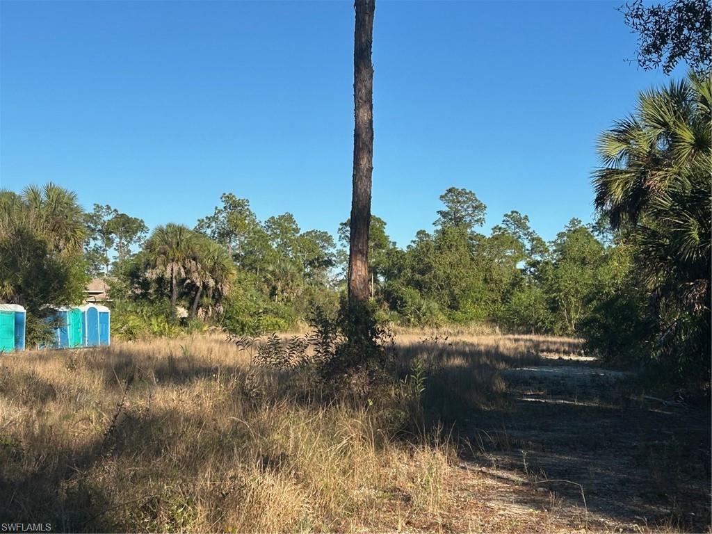 1190 Ivy Way Naples, FL 34117 - Photo 2 of 5 View of local wilderness