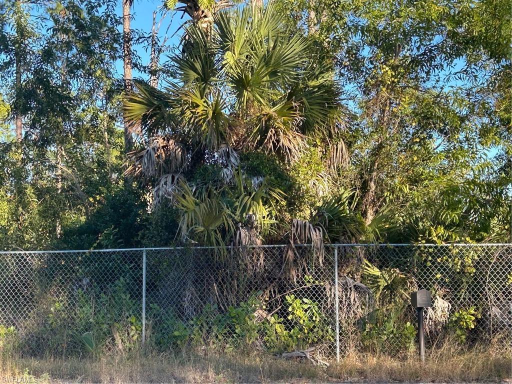 1190 Ivy Way Naples, FL 34117 - Photo 5 of 5 View of yard
