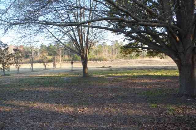 1410 Four Mile Road Conway, SC 29526 - Photo 15 of 15 Gallery Image 15