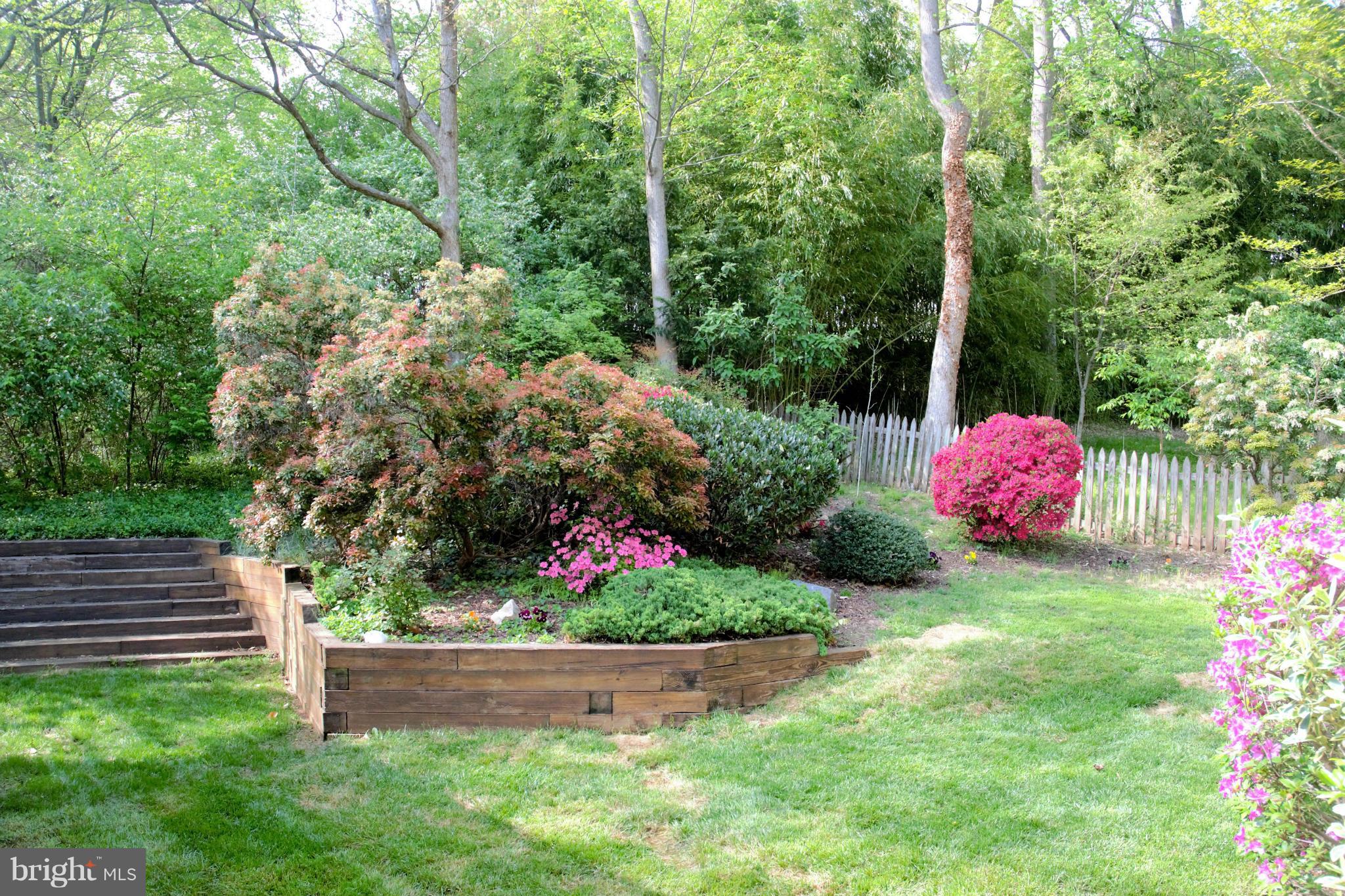 7708 Beech Tree Road Bethesda, MD 20817 - Photo 29 of 30 a view of a garden with plants and large trees
