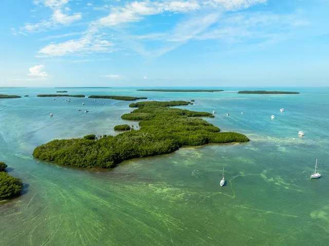 $2,495,000 | 81906 Overseas Highway, Unit 2, Islamorada, FL 33036