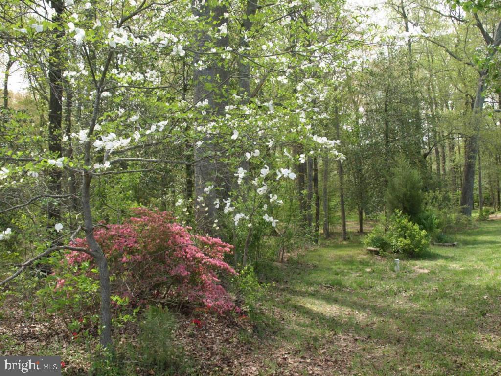 4056 Union Church Road Salisbury, MD 21804 - Photo 6 of 33 Gallery Image 6