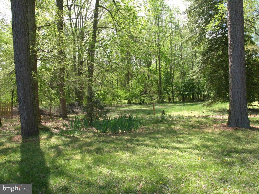 4056 Union Church Road Salisbury, MD 21804 - Photo 8 of 33 Gallery Image 8