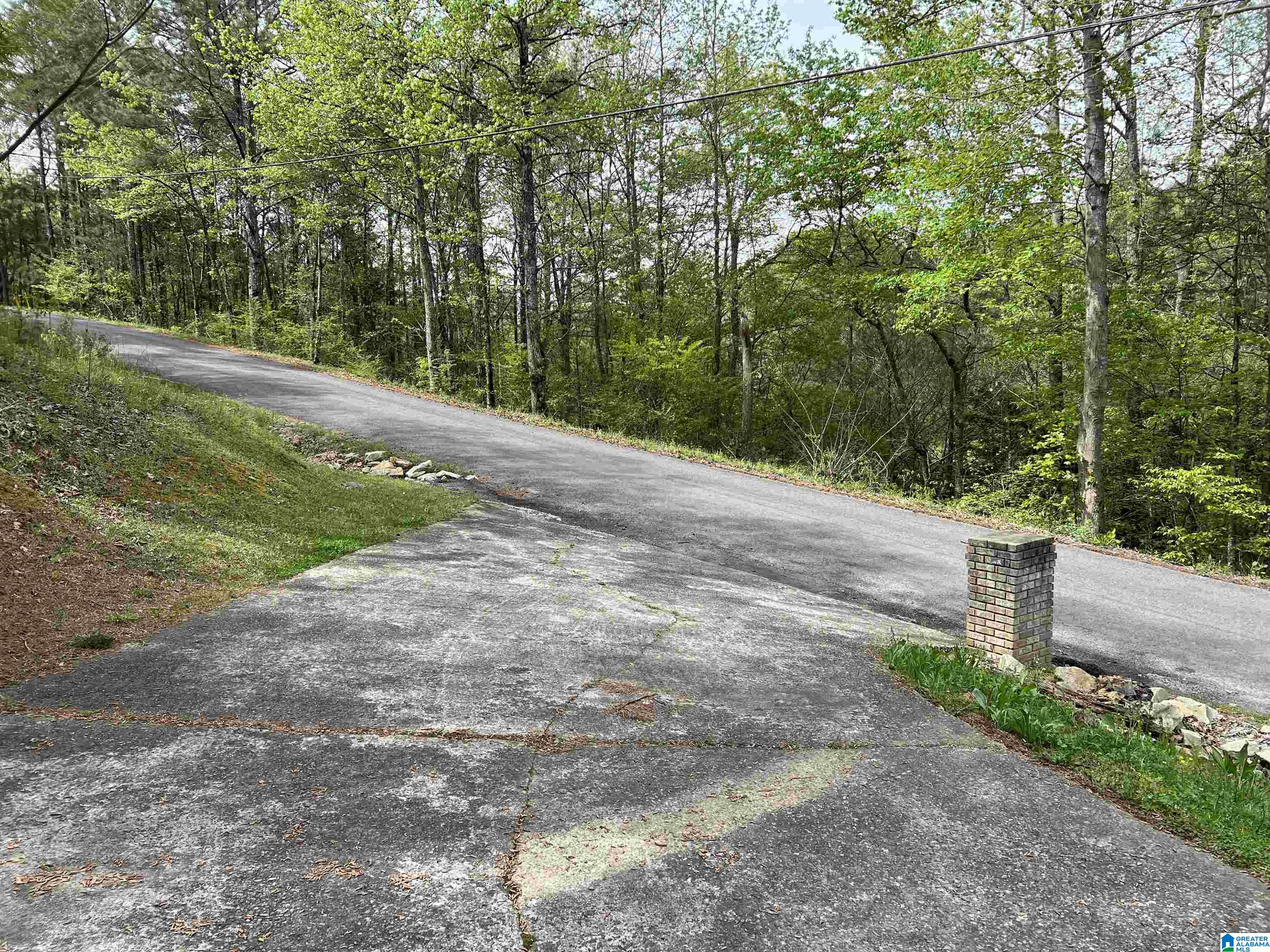 1158 Armstrong Road Remlap, AL 35133 - Photo 70 of 70