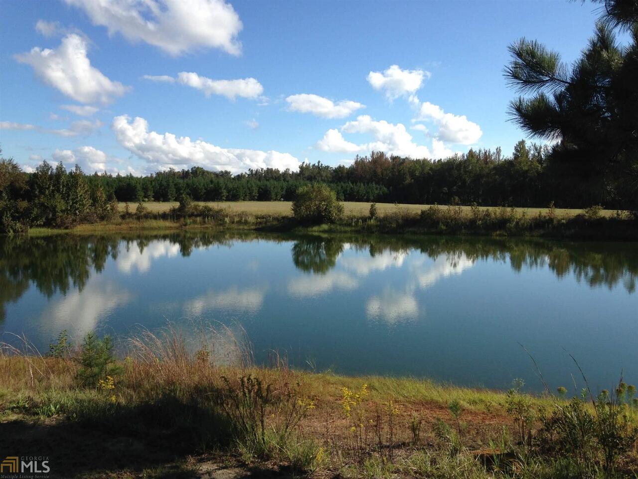 6065 Highway 80 Stapleton, GA 30823 - Photo 1 of 1