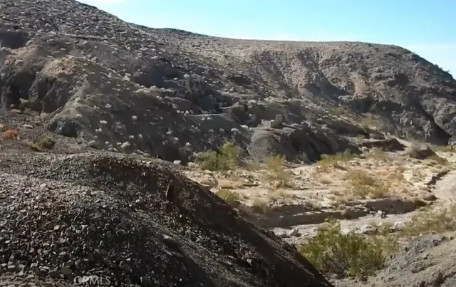 a view of a dry yard with green space