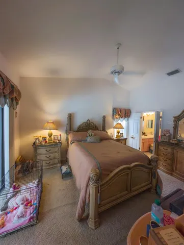 a backyard of a house with plants and large trees