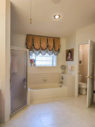 a view of a garden with large trees