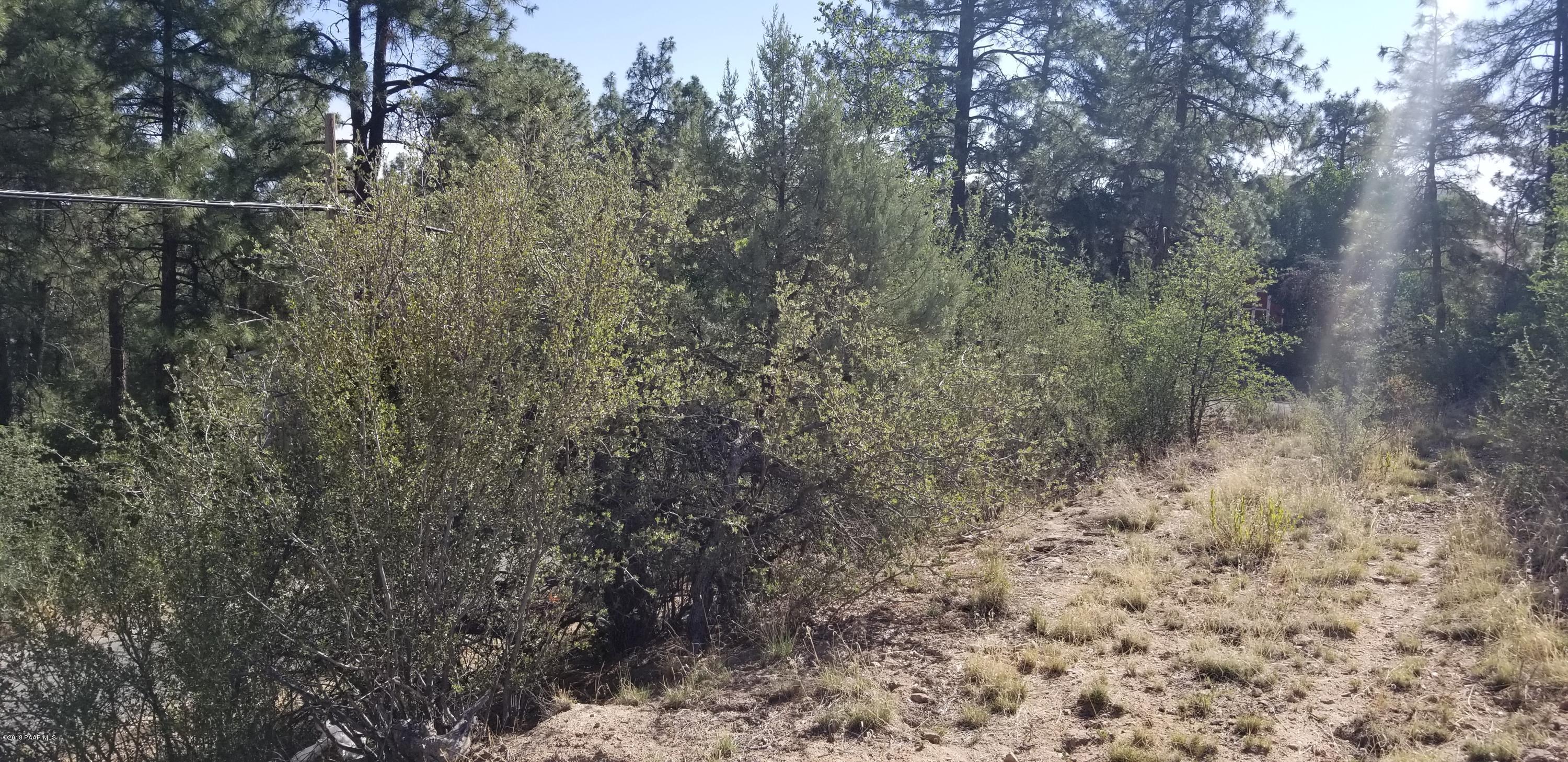 1155 Sundown Road Prescott, AZ 86303 - Photo 3 of 10 20180626_083202