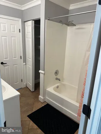 a bathroom with a tub shower vanity and a sink
