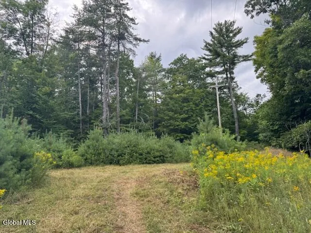 $497,500 | L10 State Rt 8 St-johnsburg Ny 12843, North Creek, NY 12853