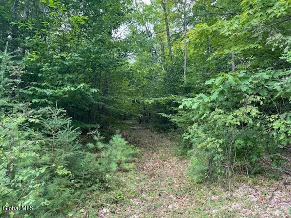 $497,500 | L10 State Rt 8 St-johnsburg Ny 12843, North Creek, NY 12853