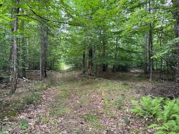 $497,500 | L10 State Rt 8 St-johnsburg Ny 12843, North Creek, NY 12853