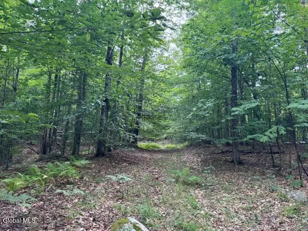 $497,500 | L10 State Rt 8 St-johnsburg Ny 12843, North Creek, NY 12853