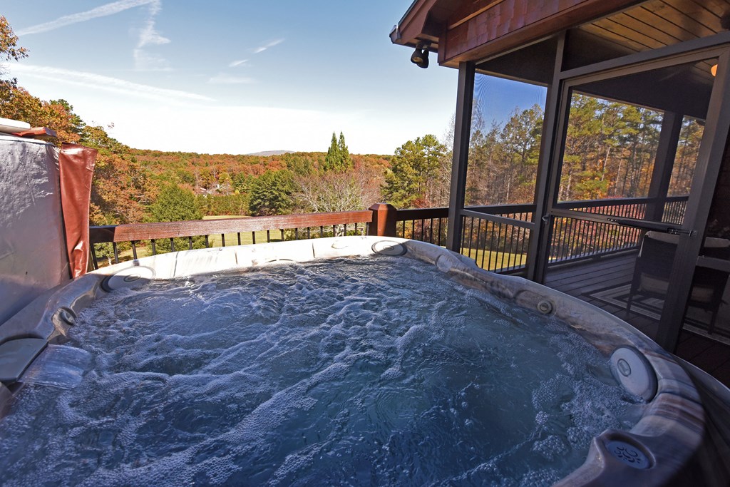 432 Daisy Log Road Blairsville, GA 30512 - Photo 28 of 79 Hot Tub