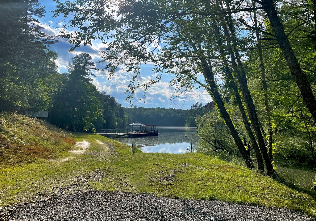 432 Daisy Log Road Blairsville, GA 30512 - Photo 56 of 79 Lake Front