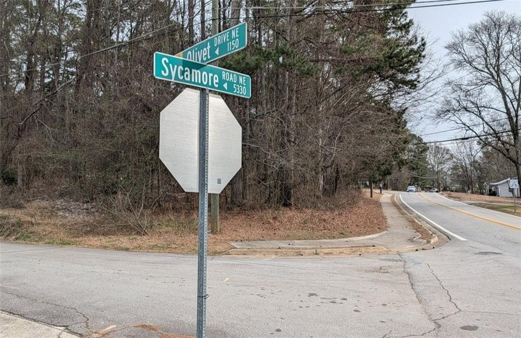 5305 Sycamore Road Sugar Hill, GA 30518 - Photo 7 of 18 a view of backyard