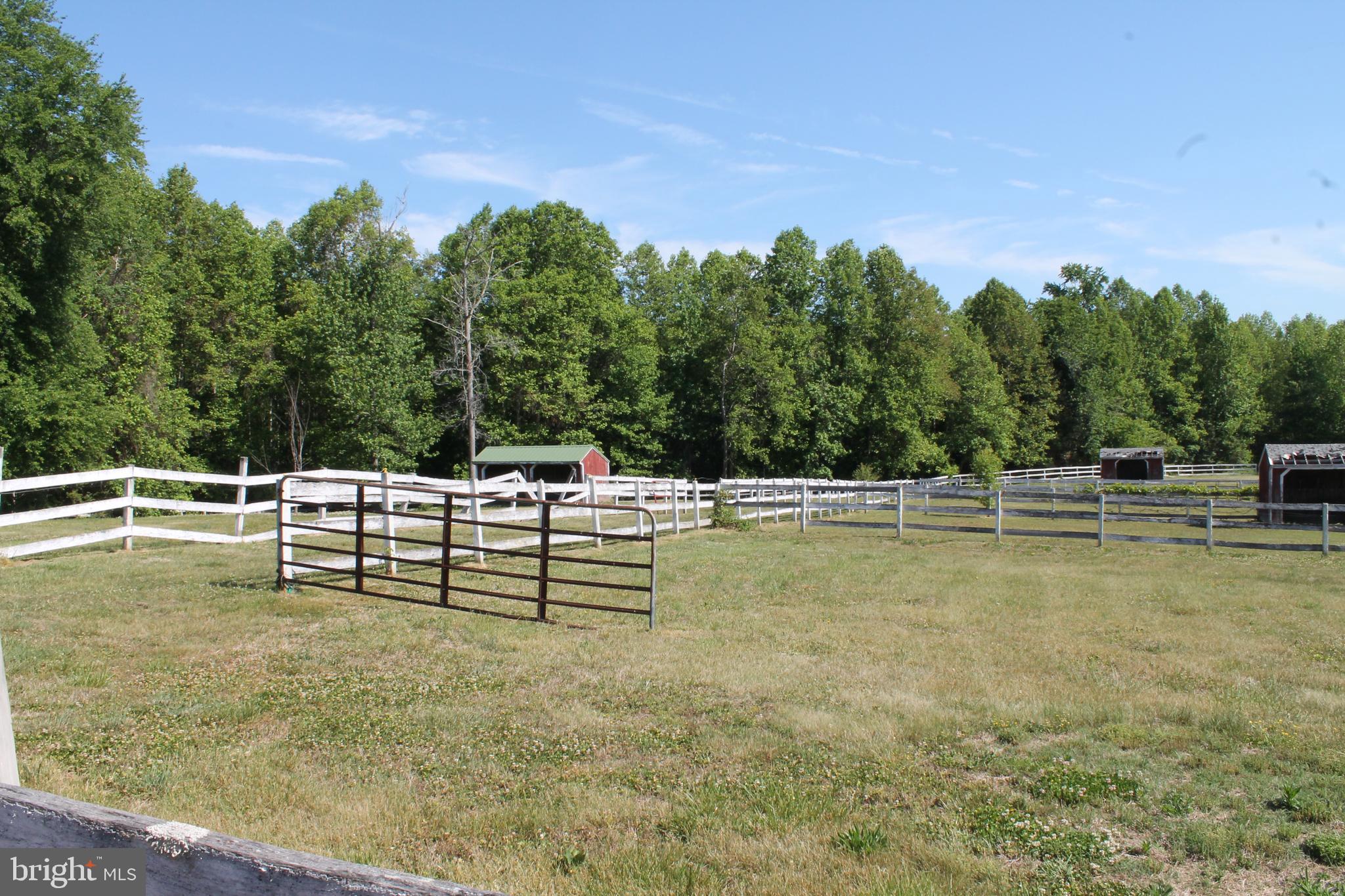 6031 Hickory Ridge Road Spotsylvania, VA 22551 - Photo 15 of 28 large paddocks