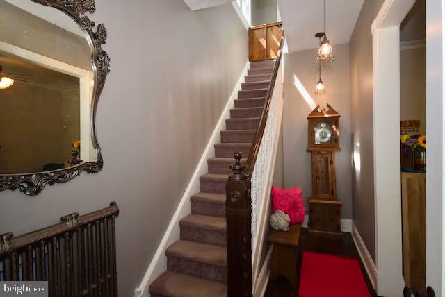 7 Rutledge Avenue Rutledge, PA 19070 - Photo 14 of 47 Gallery Image 14