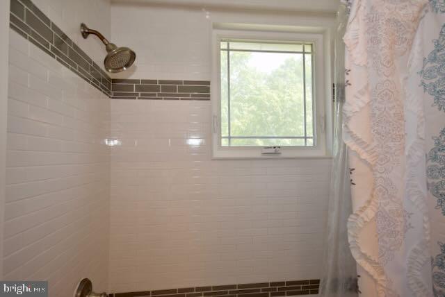 7 Rutledge Avenue Rutledge, PA 19070 - Photo 33 of 47 Gallery Image 33