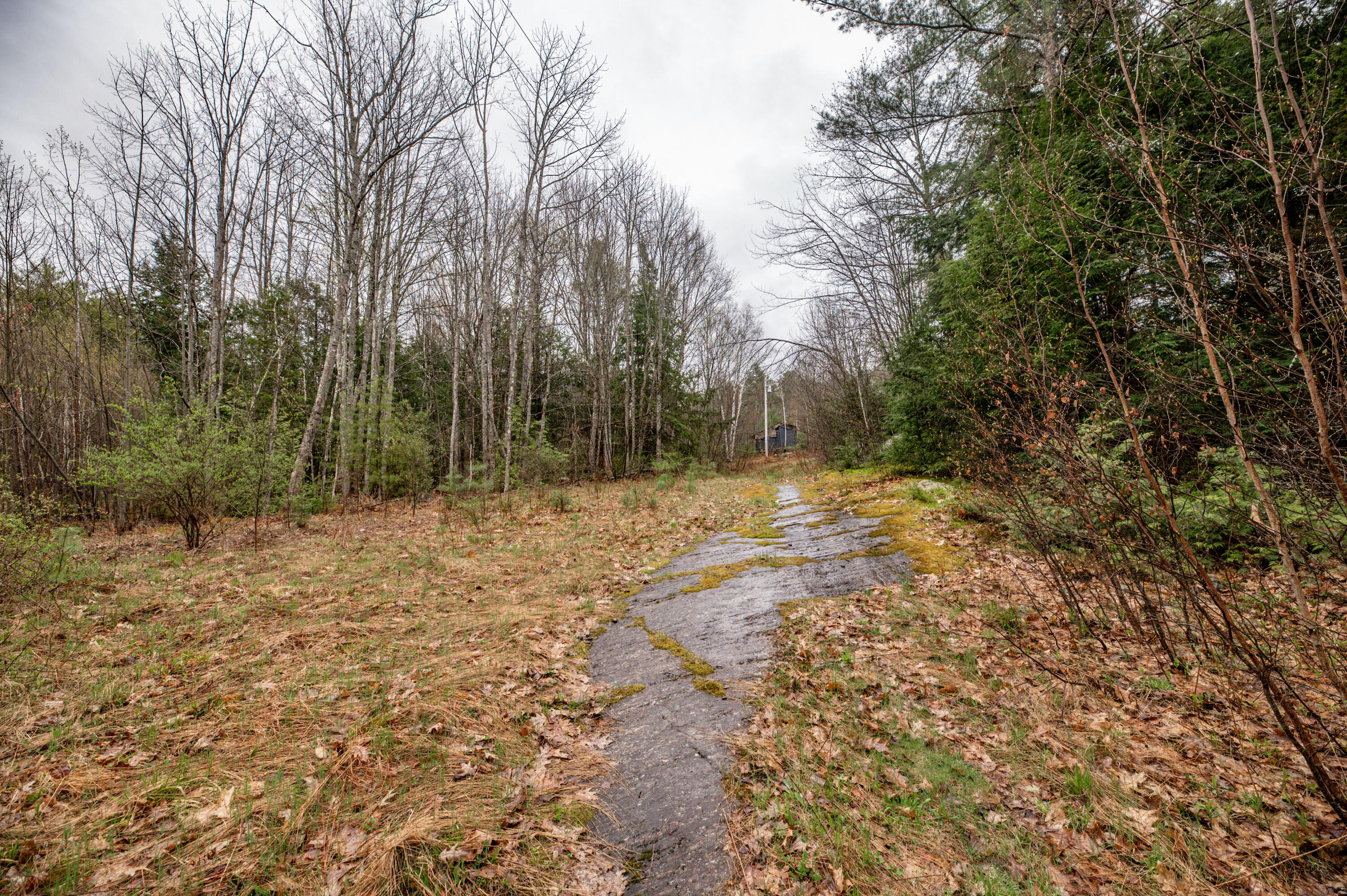 818 Middle Road Dresden, ME 04342 - Photo 23 of 26 Land18