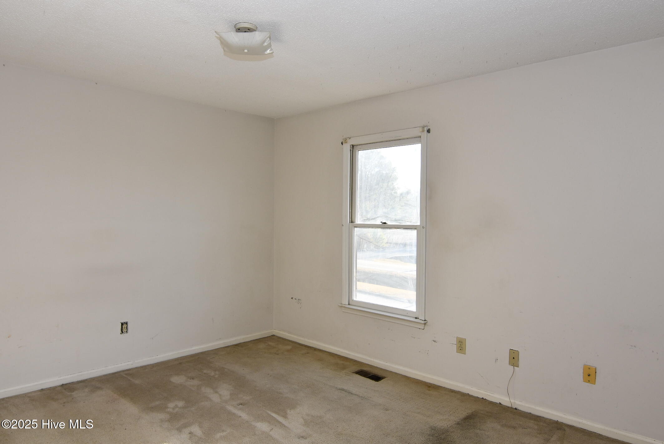 1120 B's Barbeque Road, Unit C Greenville, NC 27834 - Photo 8 of 17 Bedroom 1