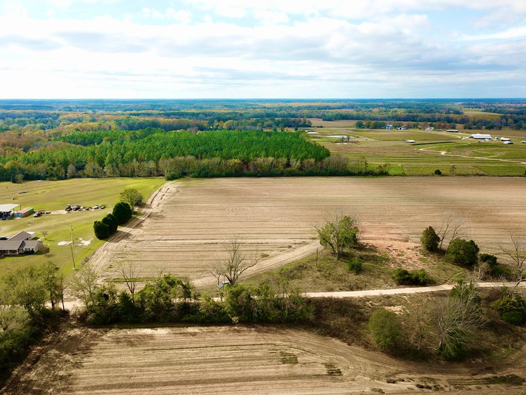 3.42-acres Summer Road Slocomb, AL 36375 - Photo 13 of 24