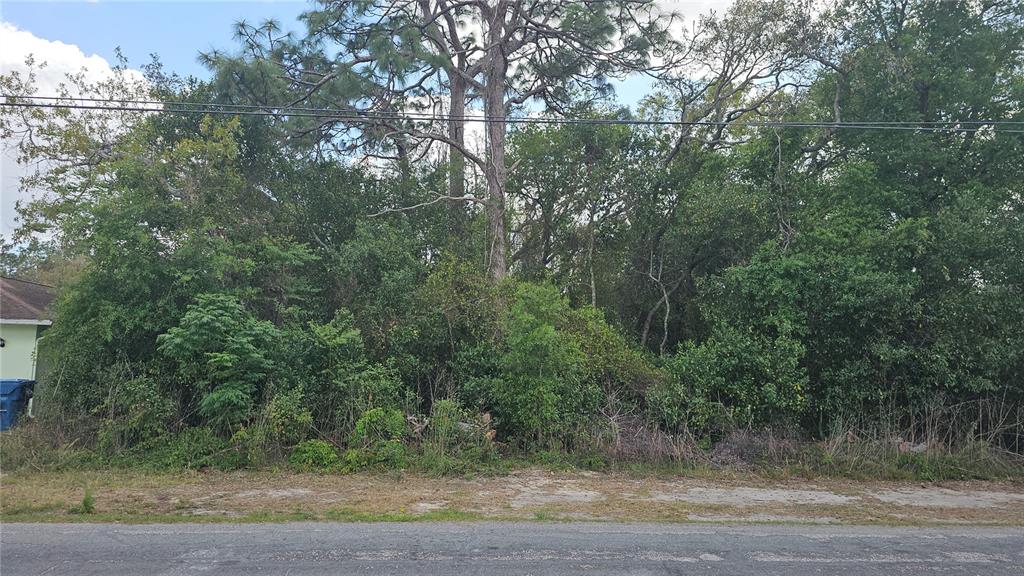 7430 Apache Trail Spring Hill, FL 34606 - Photo 2 of 4 a view of a forest