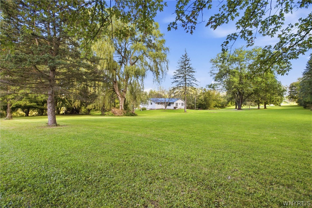 8082 Mill Road Stafford, NY 14416 - Photo 29 of 47 Gallery Image 29