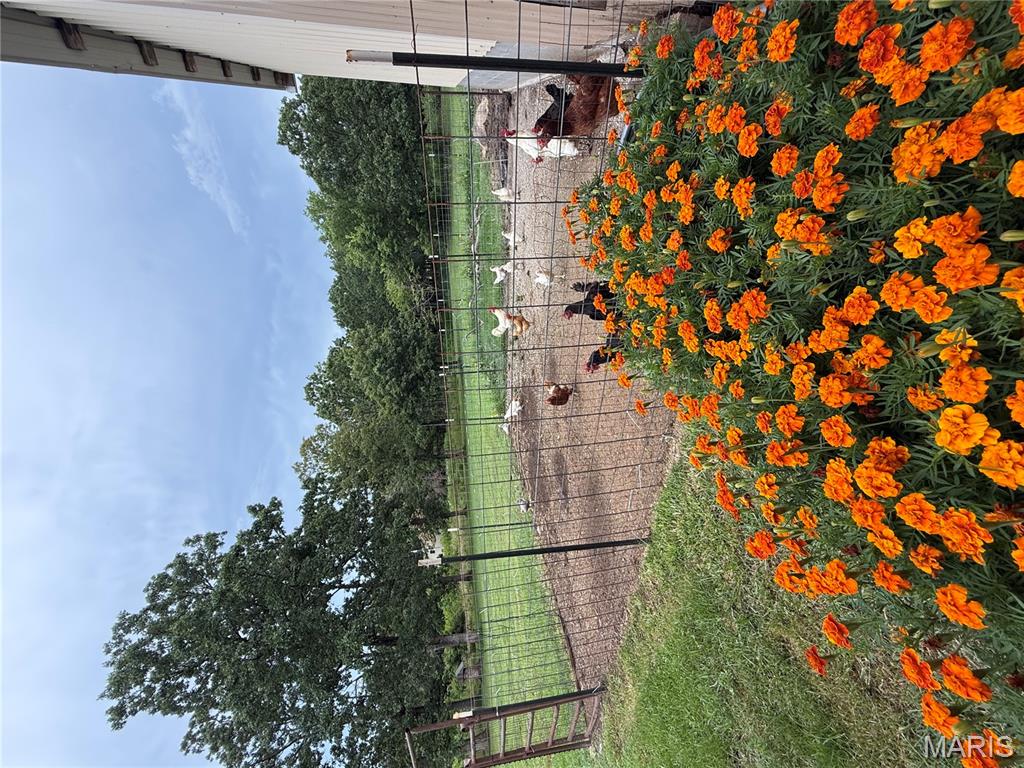 14585 Hwy Aw Plato, MO 65552 - Photo 34 of 67