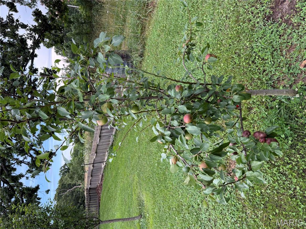 14585 Hwy Aw Plato, MO 65552 - Photo 36 of 67