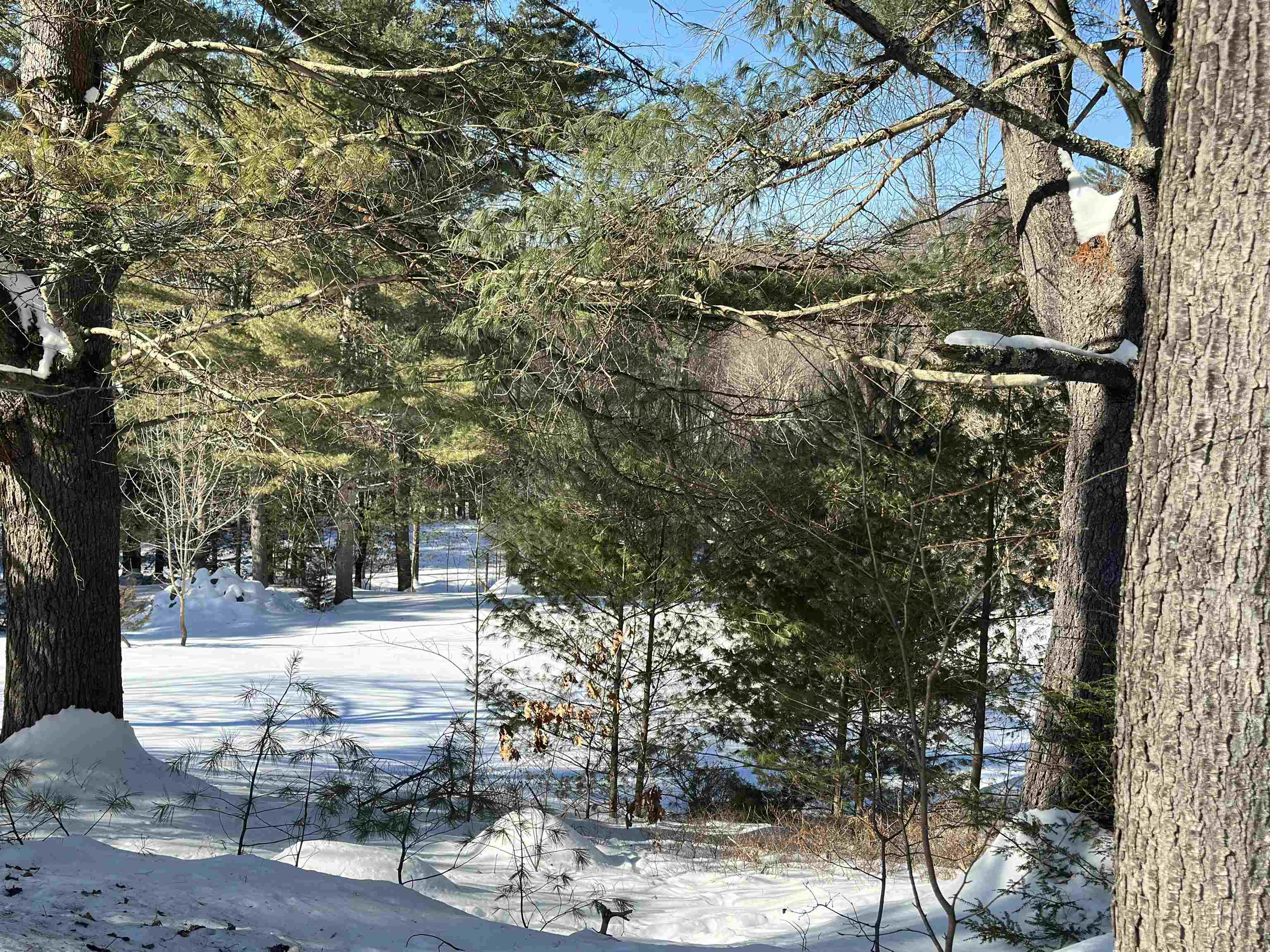 258 Bolton Road Winchester, NH 03470 - Photo 5 of 8