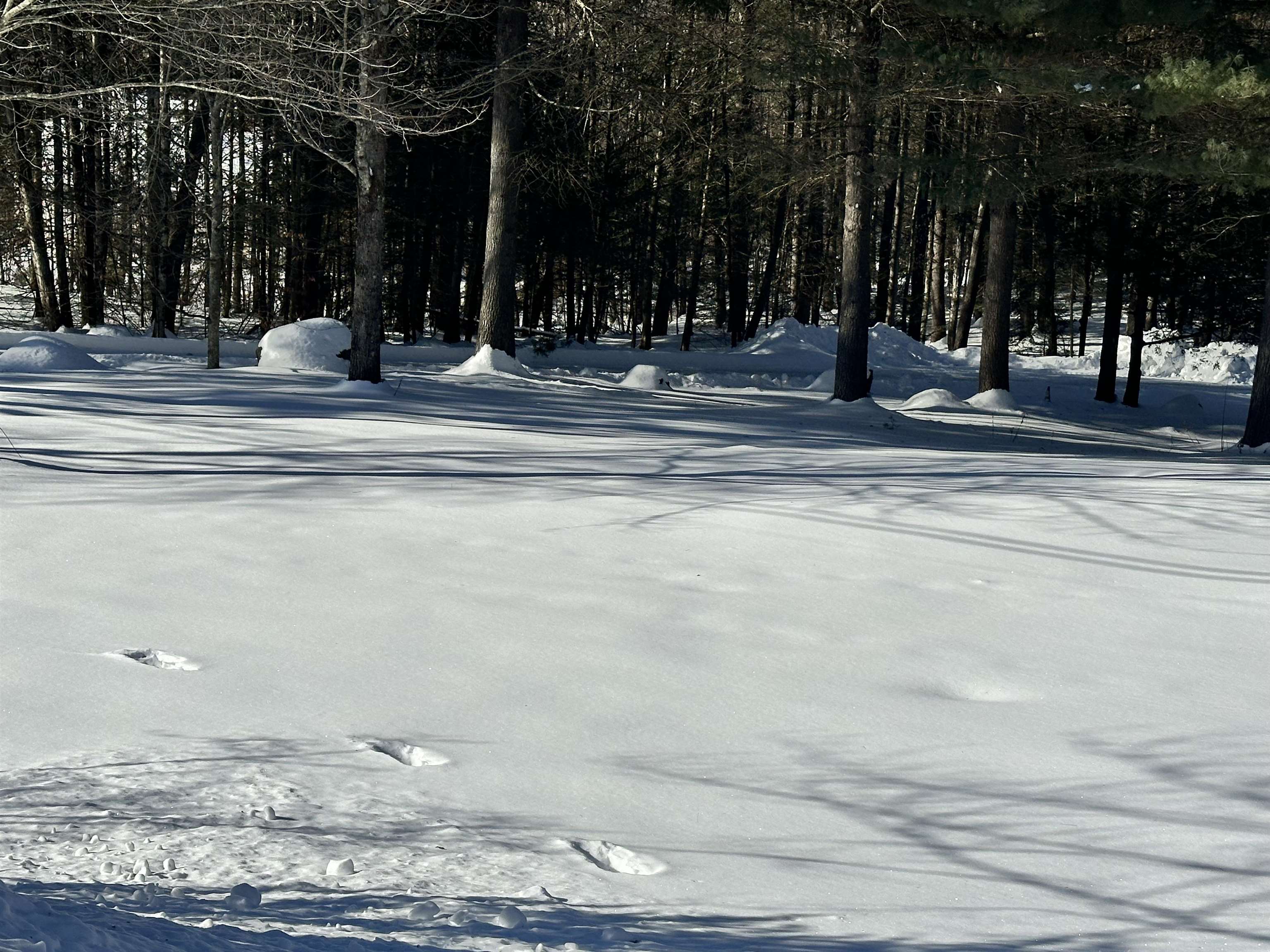 258 Bolton Road Winchester, NH 03470 - Photo 7 of 8