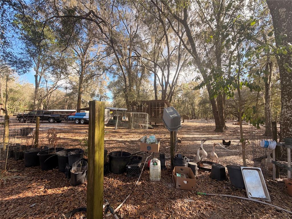 25408 Oneal Road Brooksville, FL 34601 - Photo 46 of 79 Gallery Image 46