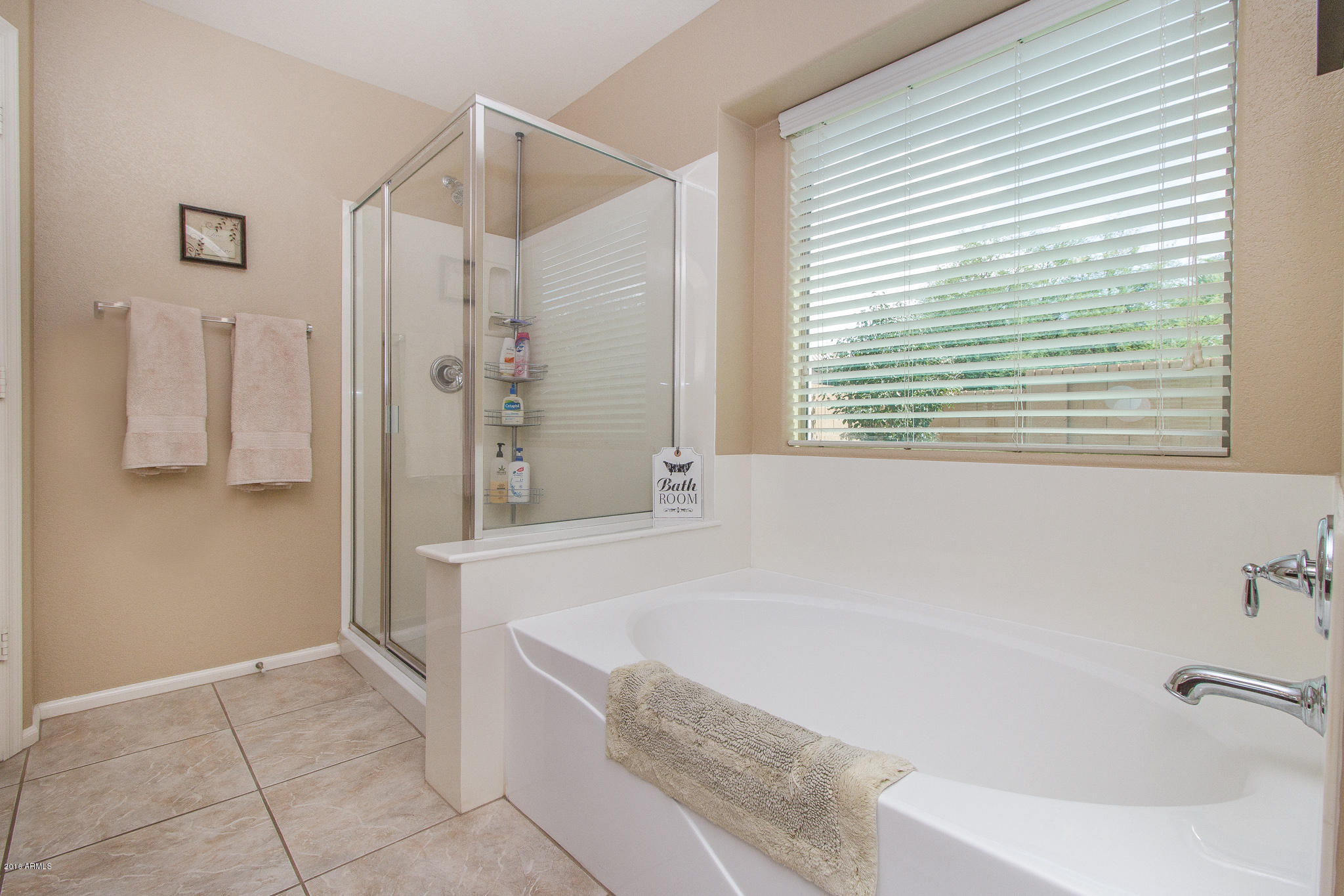 4206 East Bonanza Road Gilbert, AZ 85297 - Photo 15 of 38 15) MASTER BATHROOM