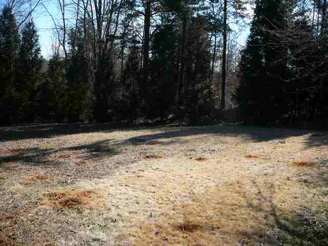 285 Camp Creek Road Central, SC 29630 - Photo 22 of 24