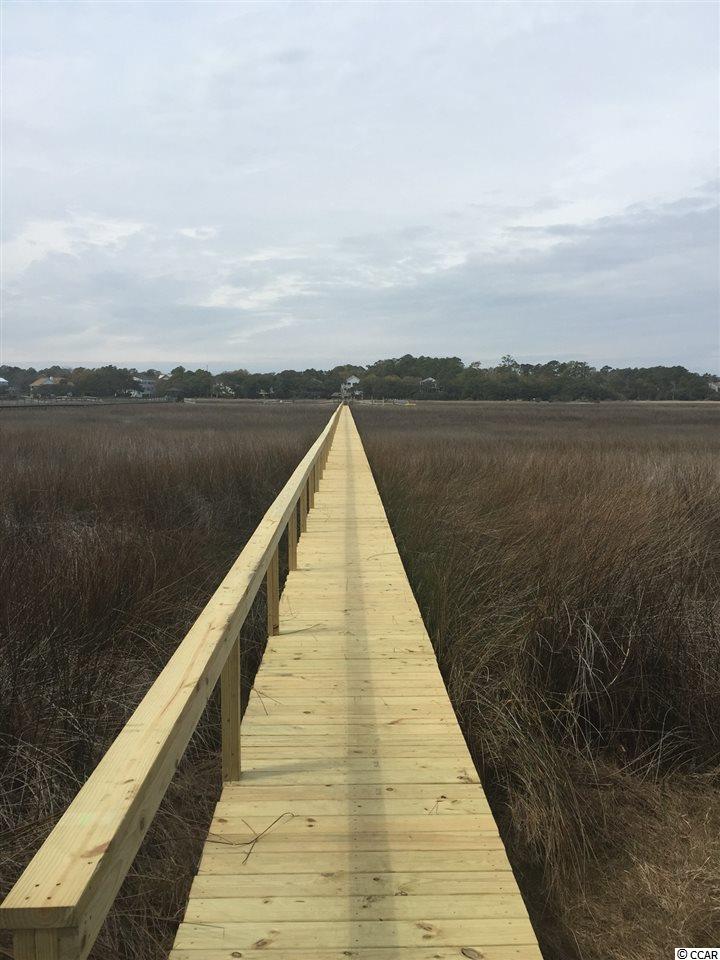 222 Inlet Point Drive Pawleys Island, SC 29585 - Photo 3 of 9 Gallery Image 3